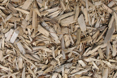 biomass boilers Treverva